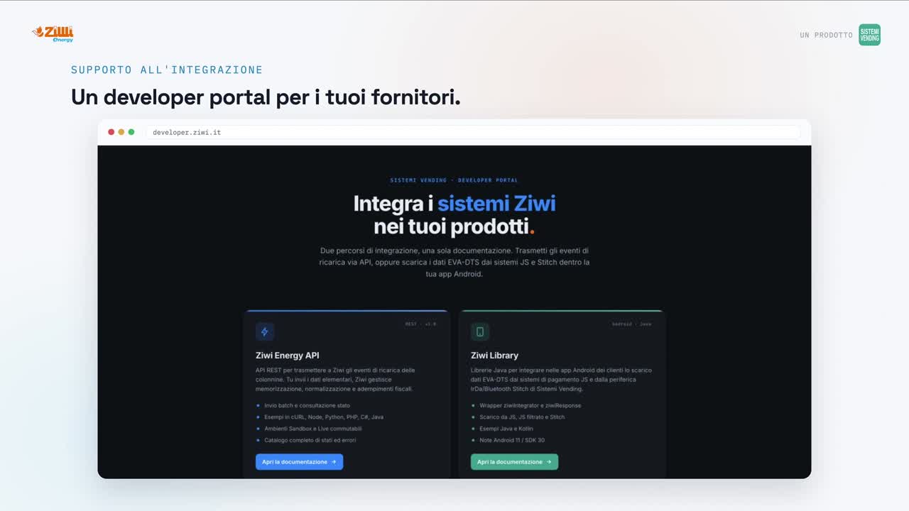 Developer portal: documentazione delle API di intake